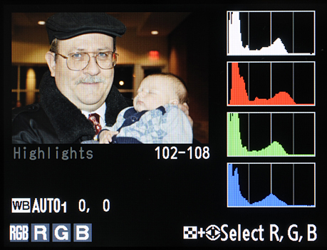Figure 1 – Luminance and RGB channel histograms for a JPEG file