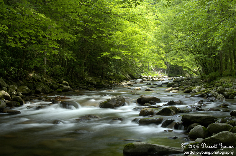 Cascades in the middle prong of the Little Pigeon River in Tremont of Great Smoky Mountains National Park, Tennessee, USA. RAW to JPEG Conversion. Nikon D2X, AF-S Nikkor 24-120mm f/3.5-5.6G ED VR lens.