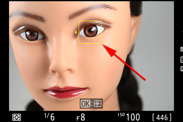 nikon z7 face detection